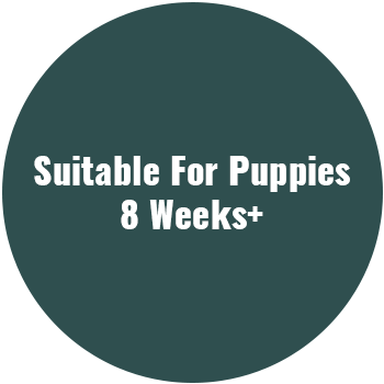8_weeks
