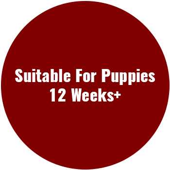 12_weeks