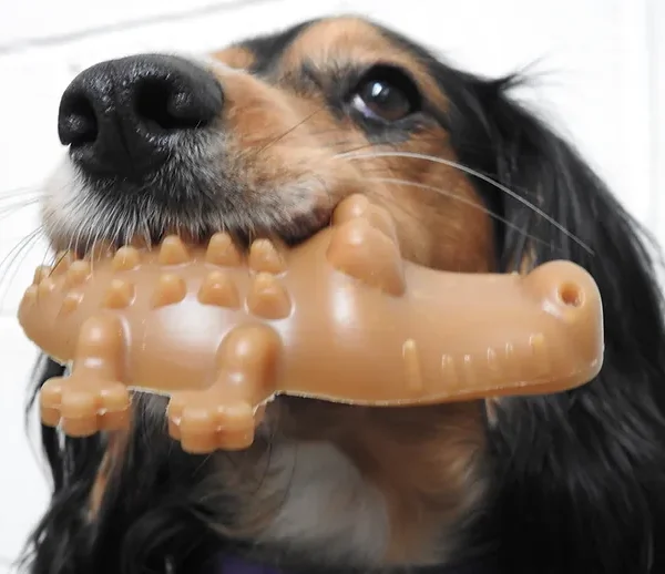 Peanut Butter Crocodile
