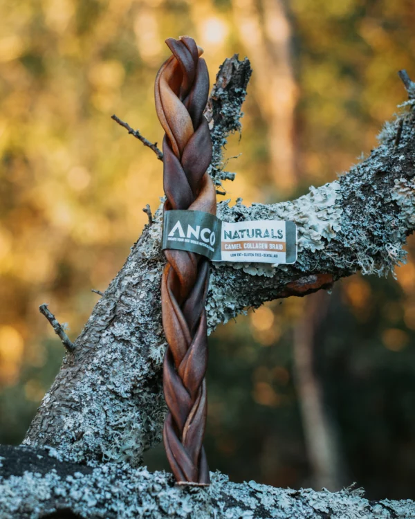 Camel Collagen Braid-Large