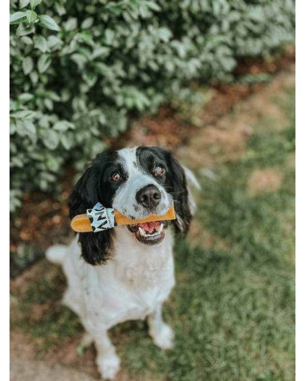 Anco Moo Chew