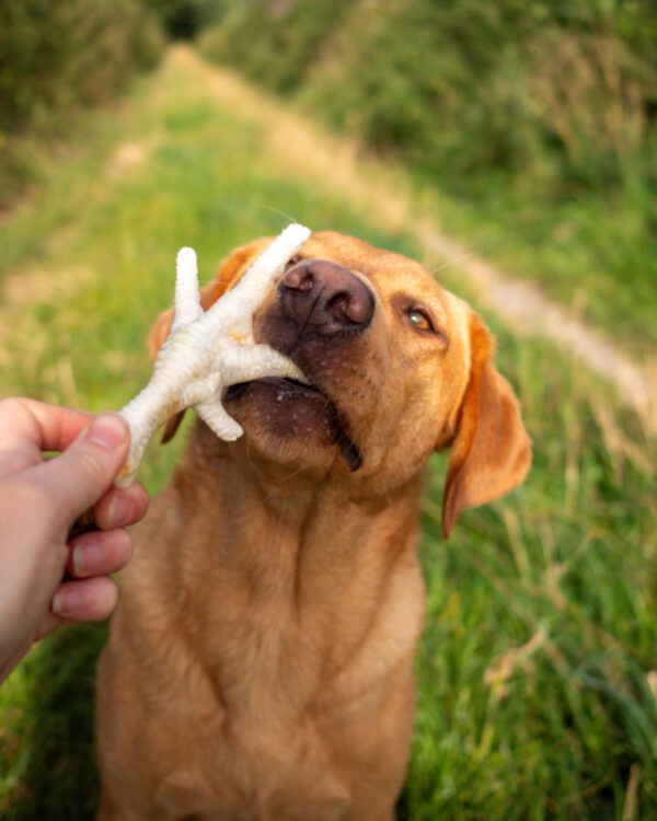Puffed Chicken Feet