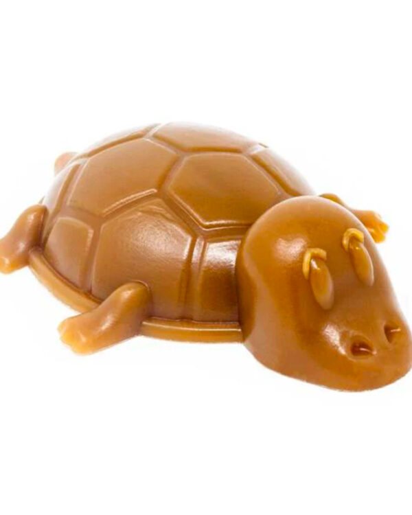 Peanut Butter Turtle