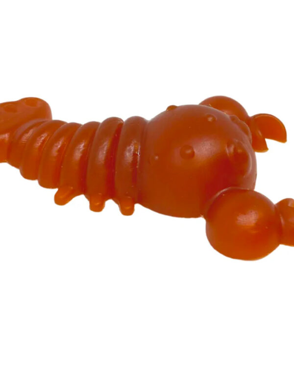 Carrot & Pumpkin Lobster