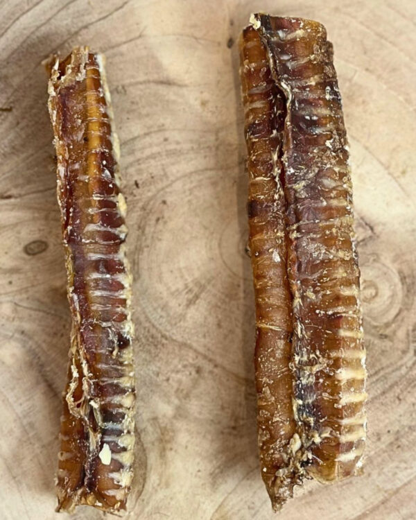 Beef Trachea