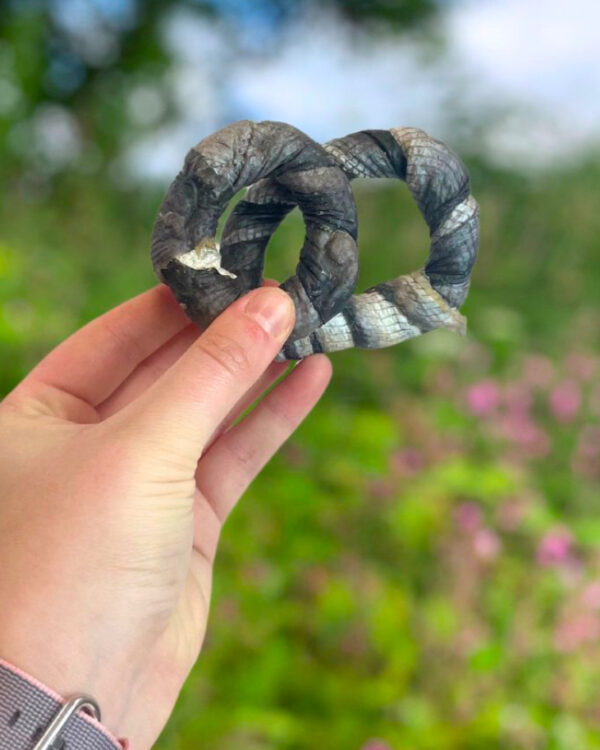 Fish Skin Donut