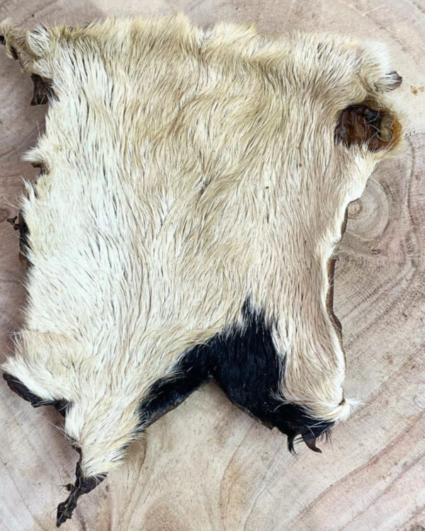 Hairy Beef Skin