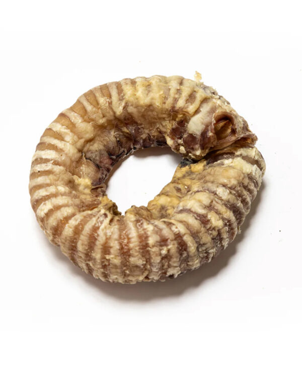 Beef Trachea Ring