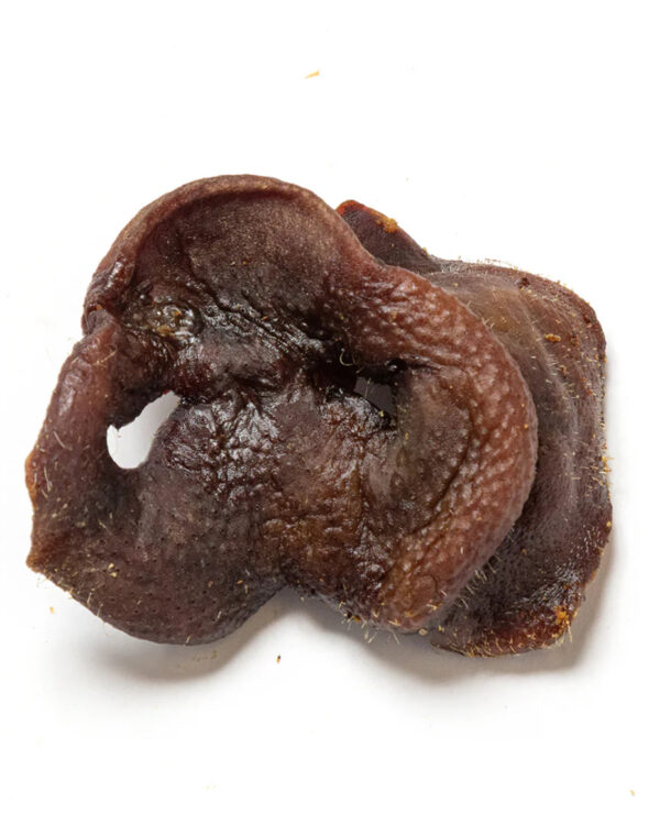 Natural Pig Snout