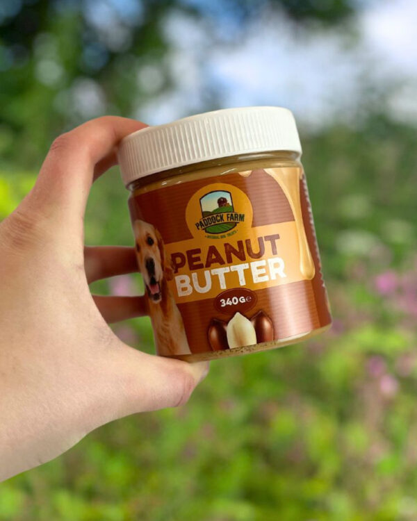 Peanut Butter Tub 340g