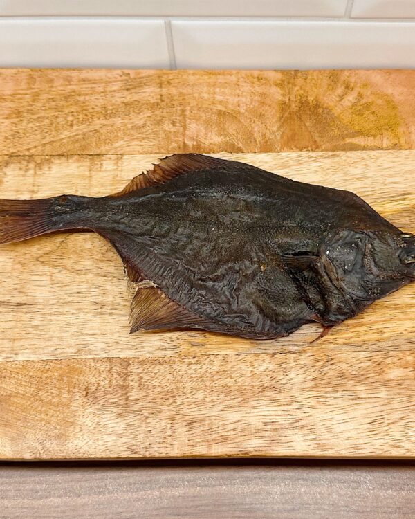Flounder Fish