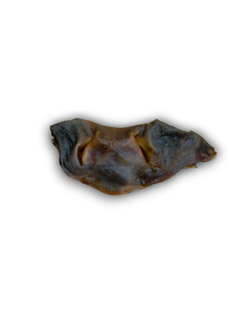 Bully Snout