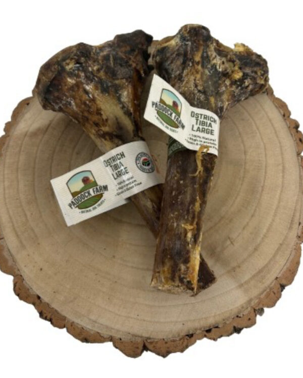 Ostrich Tibia Bone