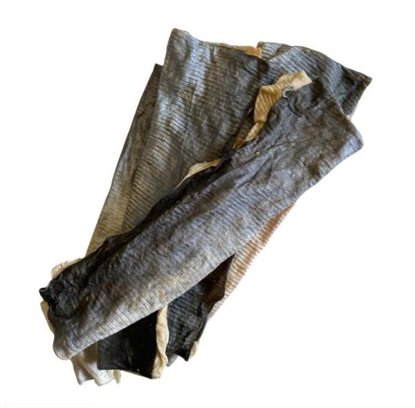 Fish Skin Flattie