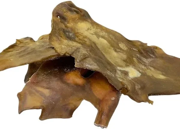 Camel Skin Plate
