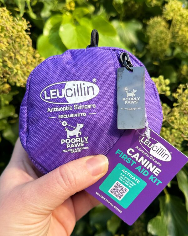 Leucillin First Aid Kit