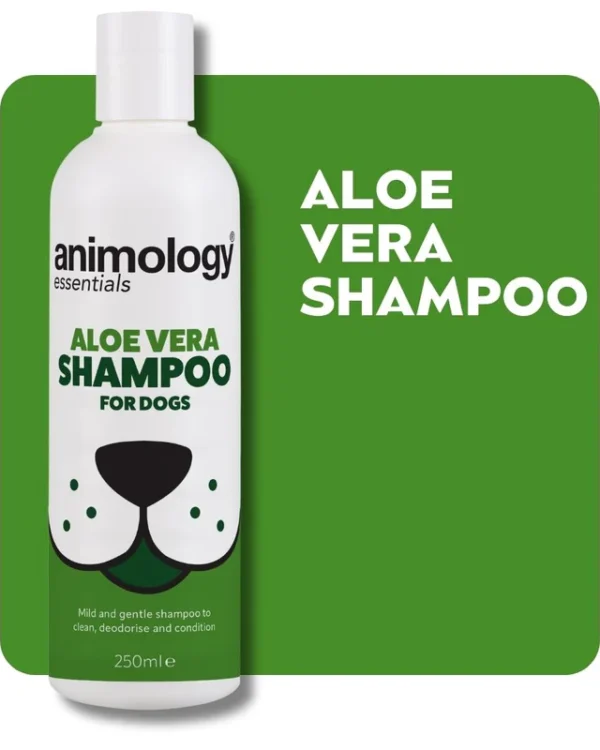 Aloe Vera Shampoo 250ml