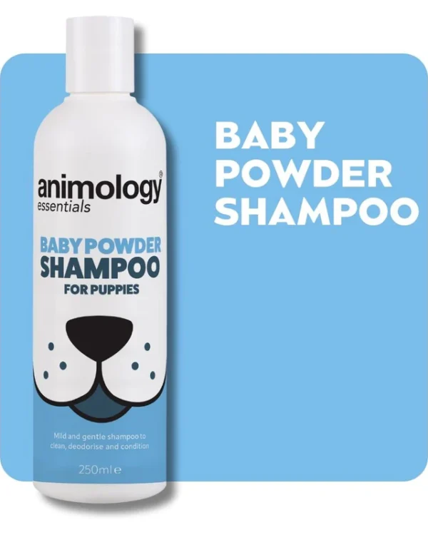 Baby Powder Shampoo 250ml