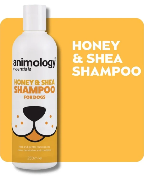 Honey & Shea Shampoo 250ml