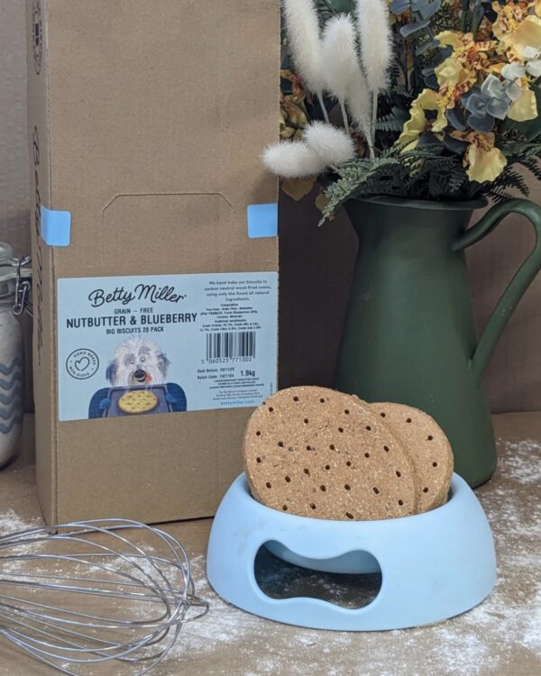 Big Nut Butter & Blueberry Biscuit