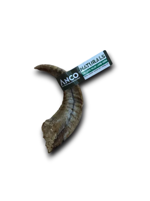 Lamb Horn Filled With Collagen