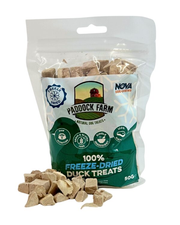 Freeze Dried Duck Cubes 50g
