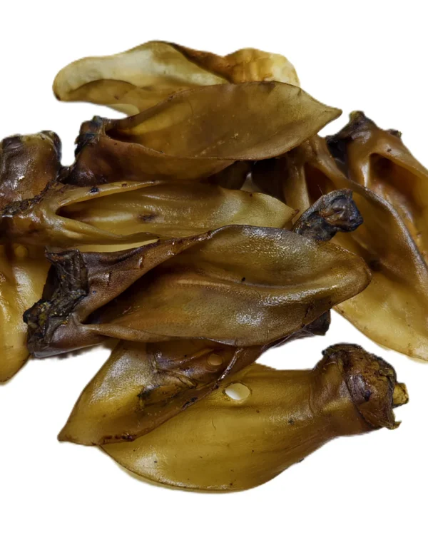 Lamb Ear (No Hair)