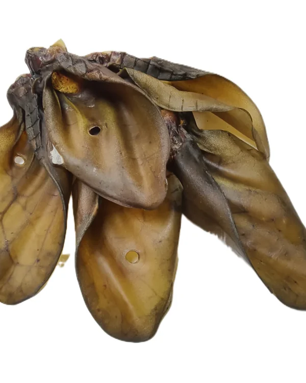 Cow Ear (No Hair)