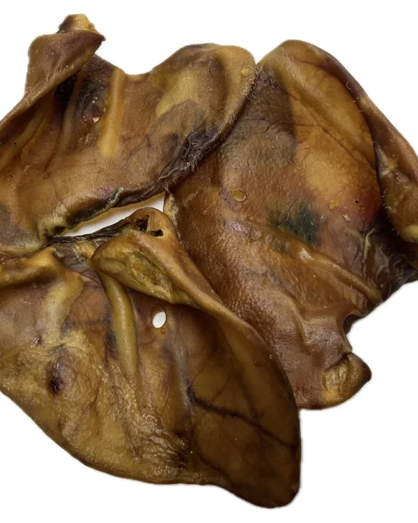 XL Pig Ear