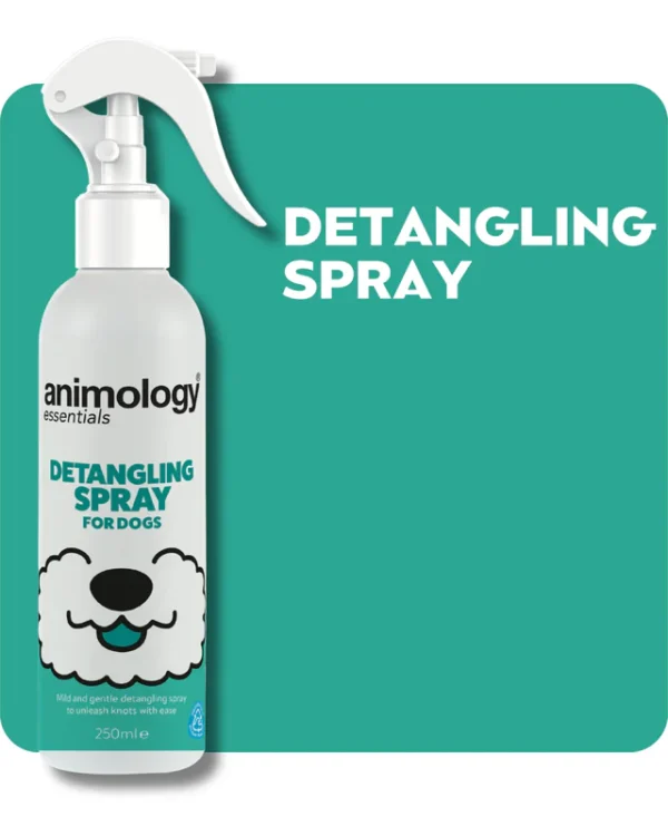 Detangling Spray 250ml