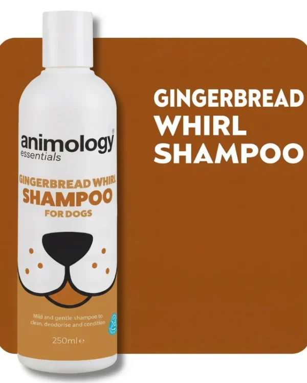 Gingerbread Whirl Shampoo 250ml