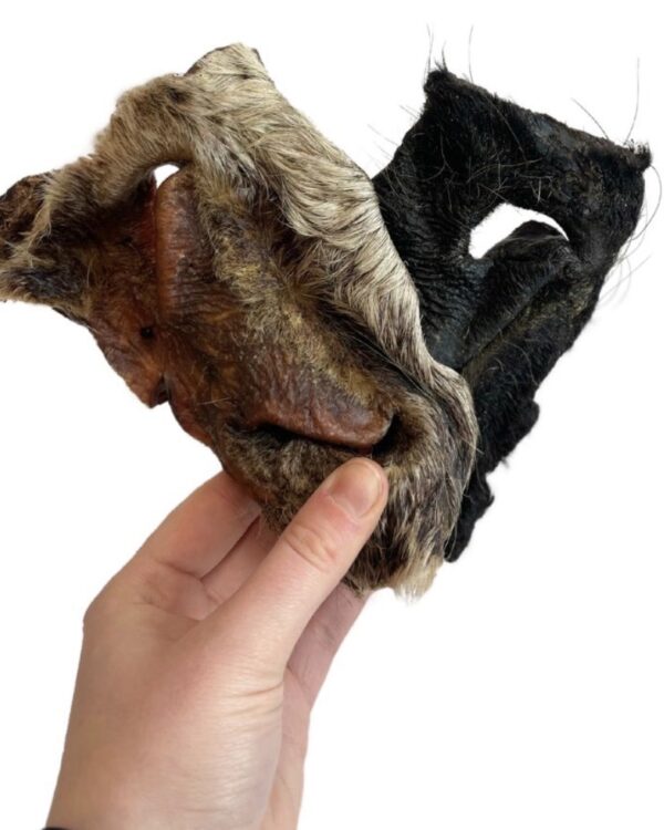 Hairy Beef Nose