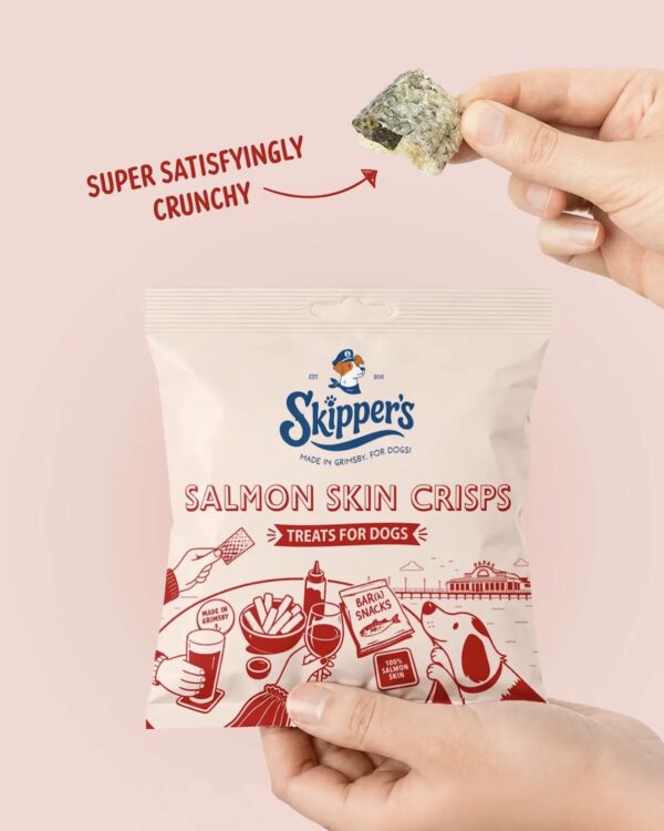 Salmon Skin Crisps 15g