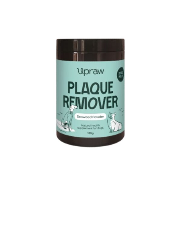 Plaque Remover - 185g