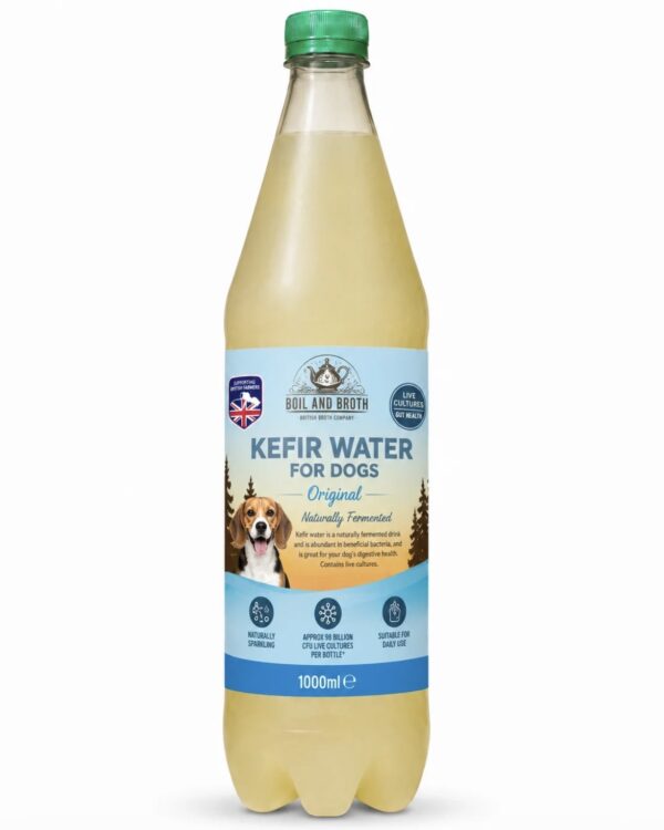 Kefir Water - Original 1 Litre